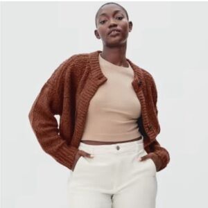 Everlane Lofty Knit Cardigan